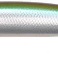 Anchovy