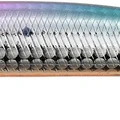 Sakura Sardine OB