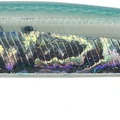 Bleeding Sardine