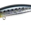 Genkai Sardine