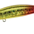 Burning Gold Sardine