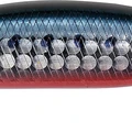 Sardine RB