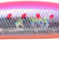 Pink Sardine