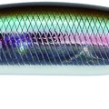 Ocean Bait
