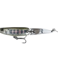 #10 JAPANESE TROUT