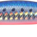 Mazume Sardine