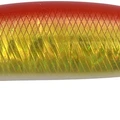 Red Shiner