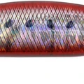 Fire Sardine