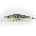 #09 JAPANESE TROUT