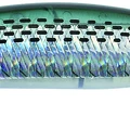 Clear Mullet II