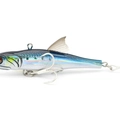 #02 Sardine Special Holo+Real Print