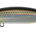 Flashy Mullet