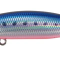 Flash Mazume Sardine