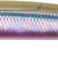 Sand Smelt