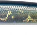 Euro Anchovy
