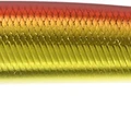Red Shiner