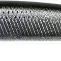 Grey Mullet