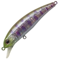 Abalone Yamame A-128