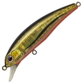 Abalone Dace A-46
