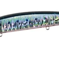 Genkai Sardine