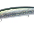 Gizzard Mullet