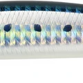 Sardine