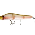 Lugano Shad
