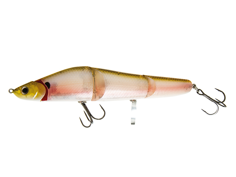 Molix Brigante 160F