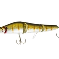 Gill