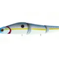 Charming Shad