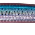 Red Mullet