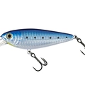 Blue Sarda