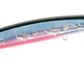 Shakotan SardineRB