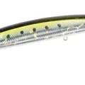 UV Shimamaki BB Sardine