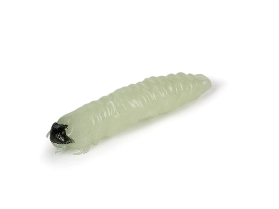 Molix CW Worm