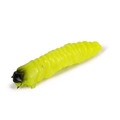 Caimano Worm 83 Glowing Lemon