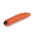 Caimano Worm 84 Glowing Orange