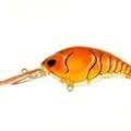 Mud Craw