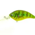 Sunfish
