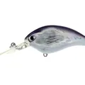 Silver Bait