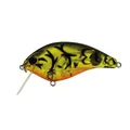Fcrank Sr 05 Alqueva Craw
