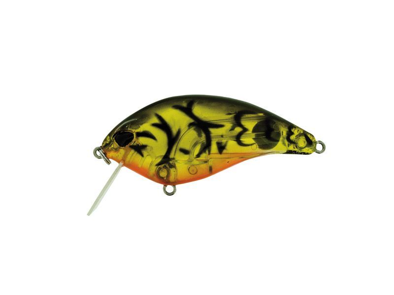Molix F Crank SR