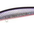 Violet Shiner