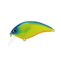 Fcrank Sr 42 Giallo Capri