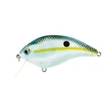 Fcrank Sr 71 Charming Shad