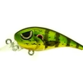 MR #125 sunfish min