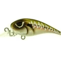 MR #126 mx ghost minnow min
