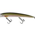 Tennesse Shad