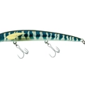 Blue Marine Shad