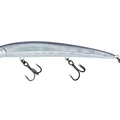 Silverbait